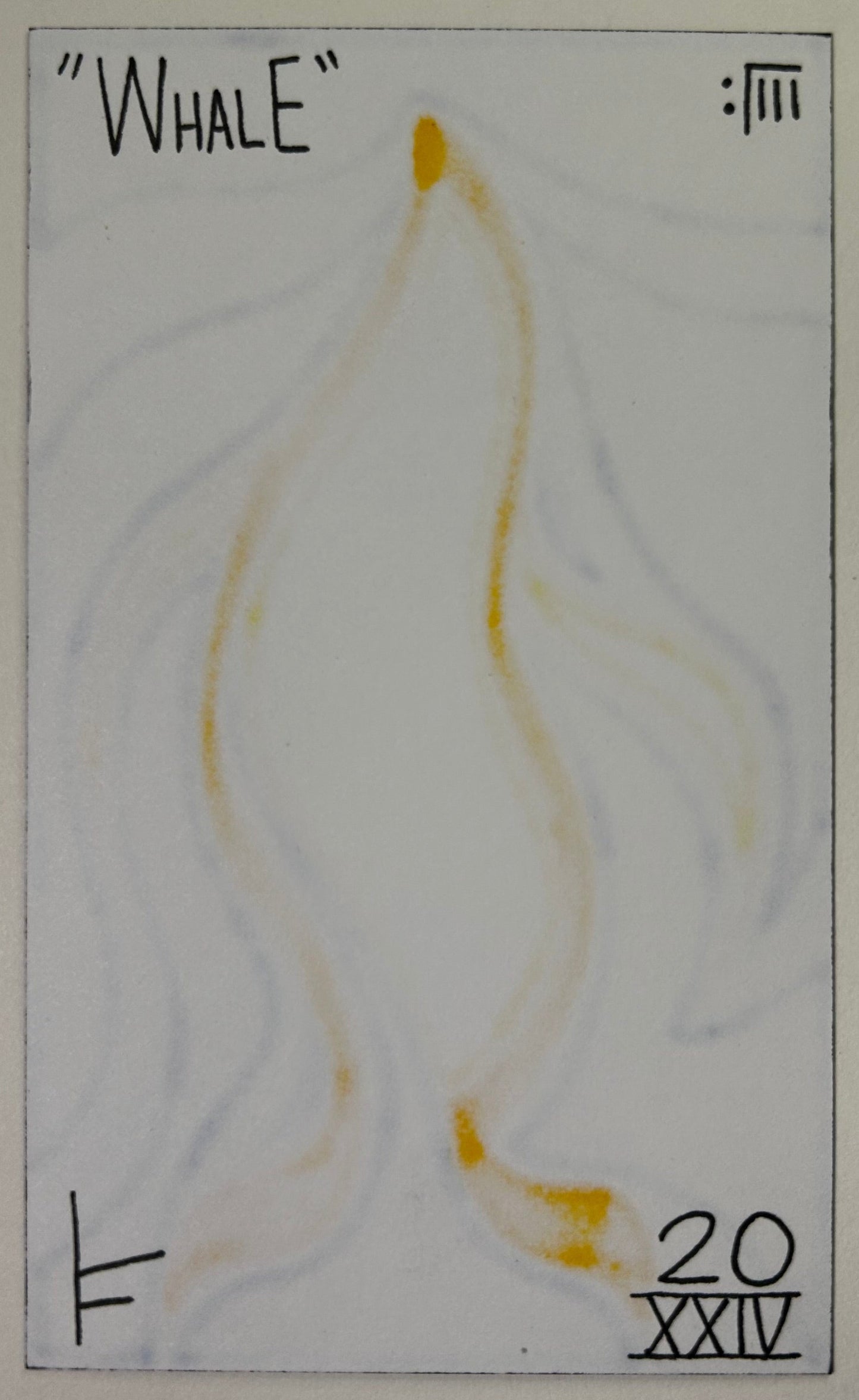"Whale"